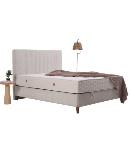 COSY PRIME BAZA BAŞLIK